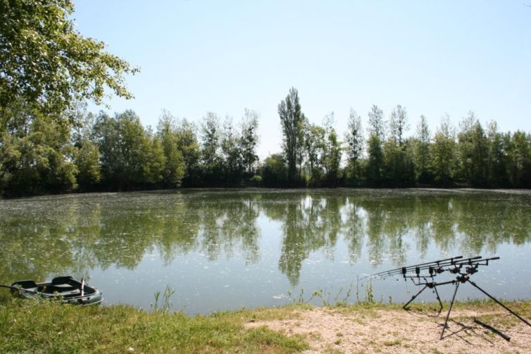 12-best-lakes-for-carp-fishing-in-france-fisherverse