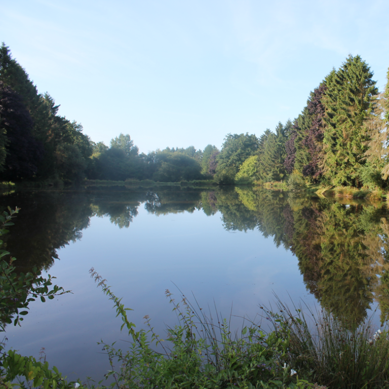 House for sale in France with fishing lake French Chateau For Sale House for sale in France with fishing lake French Chateau For Sale