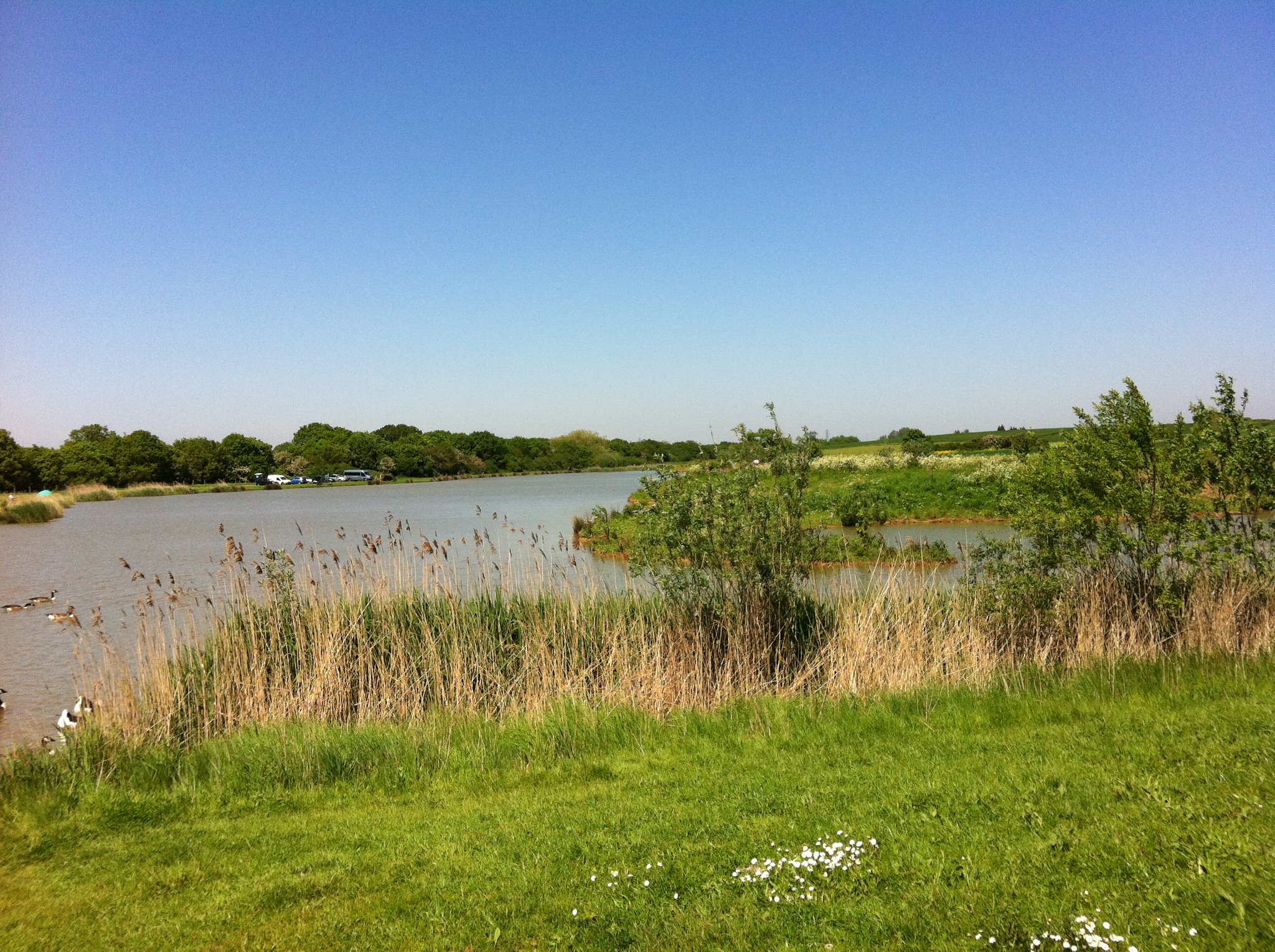 Top 10 Fishing Lakes in Essex | FisherVerse