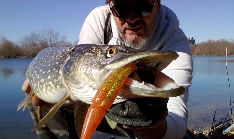 huge pike huge lures