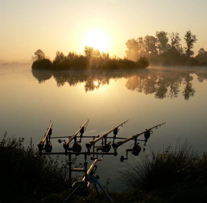 12 Best Lakes for Carp Fishing in France | FisherVerse