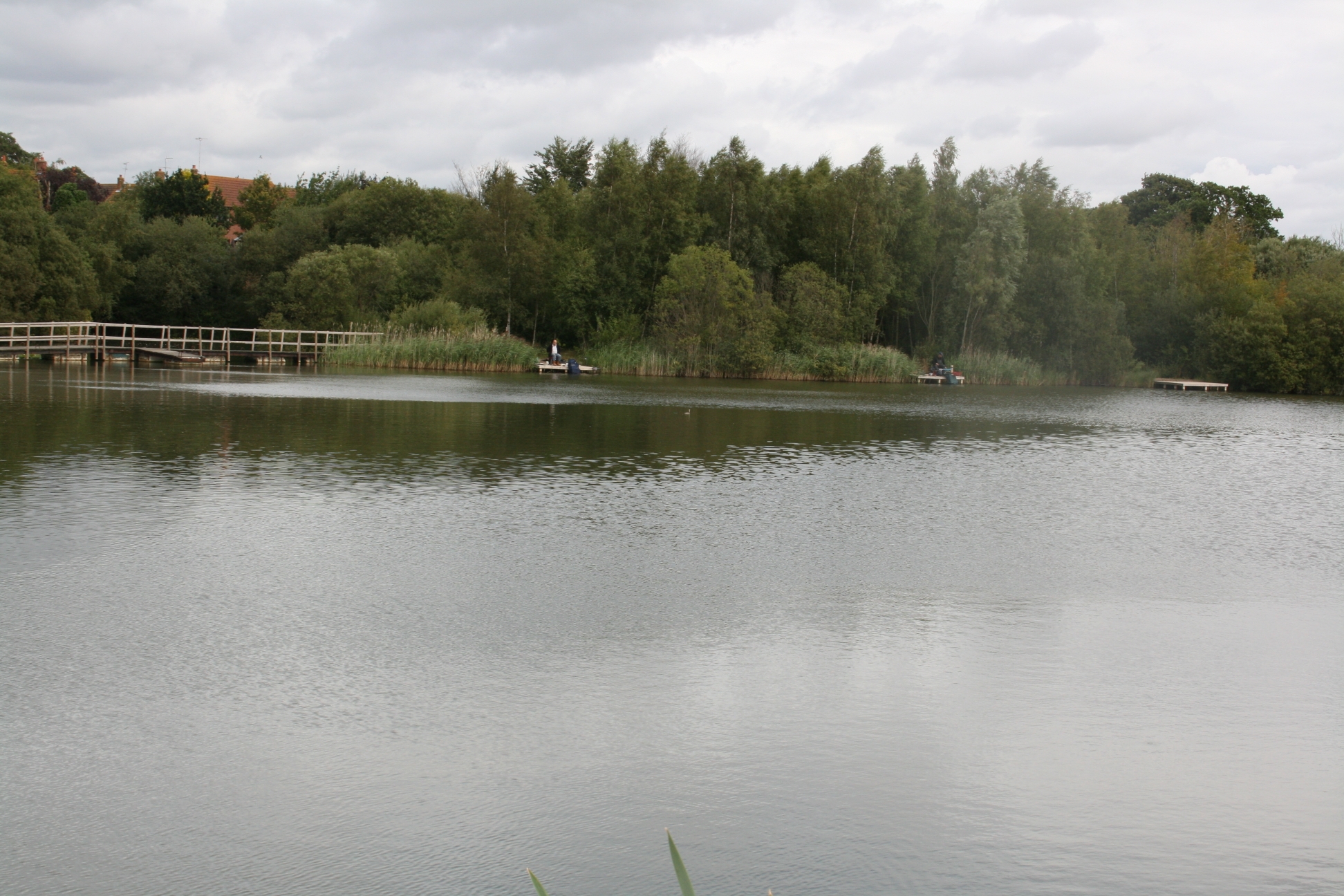 Top 10 Fishing Lakes in Essex FisherVerse