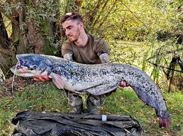 10 best fishing lakes in Kent (Our 2020 selection) FisherVerse