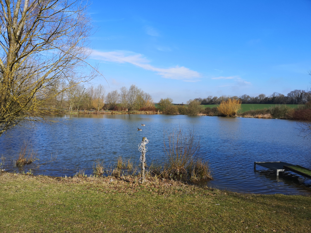 Top 10 Fishing Lakes in Essex | FisherVerse