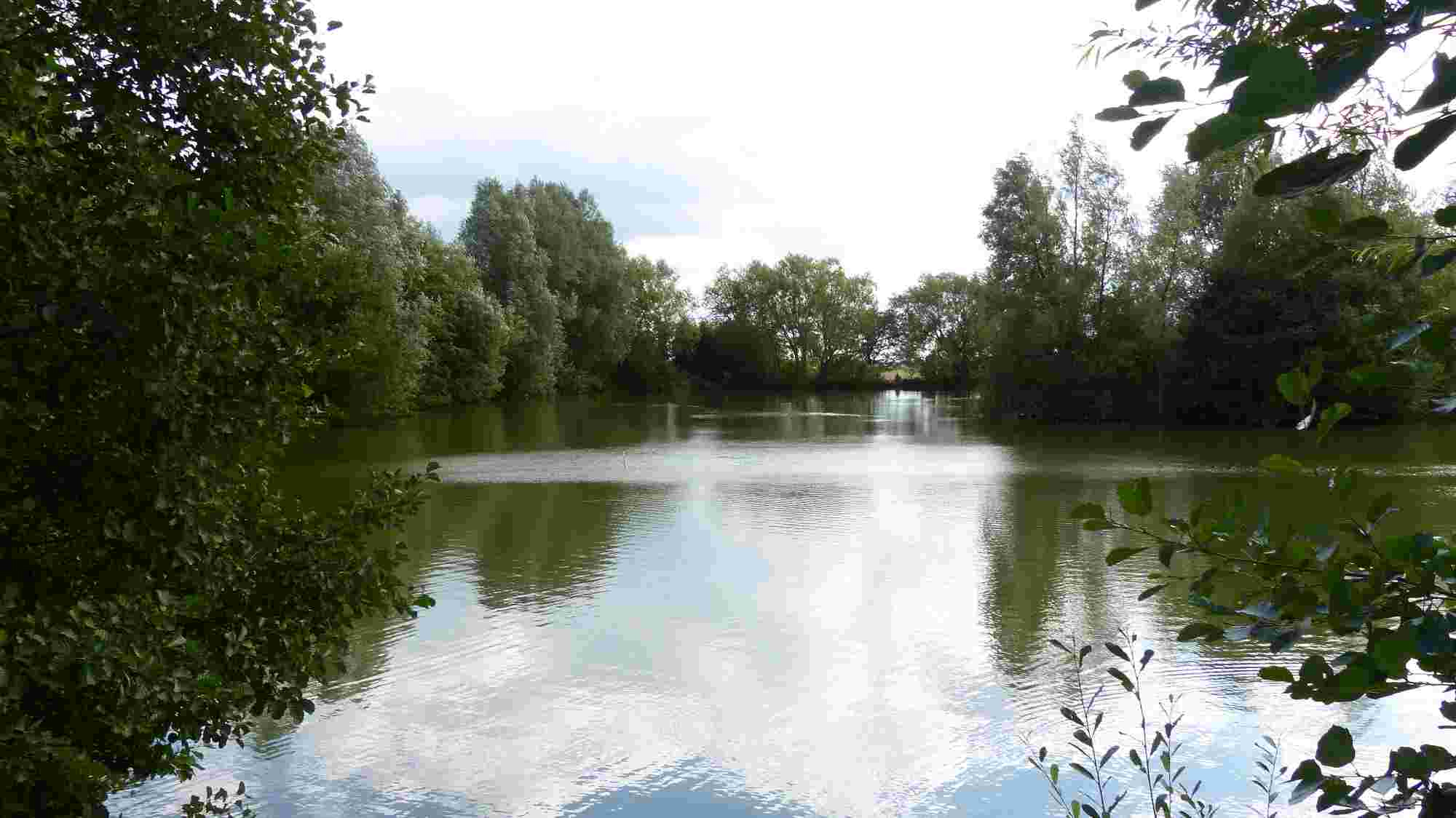 Top 10 Fishing Lakes in Essex FisherVerse